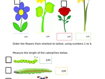 Measuring lengths/height using a ruler (cm)
