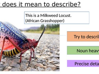 Descriptive writing lesson for all ability students with differentiation tasks for EAL students
