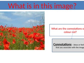 Power nad Conflict-Poppies-language analysis
