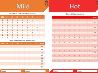 Differentiated Binary Worksheets