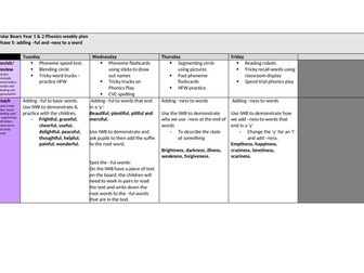Phonics -suffixes planning