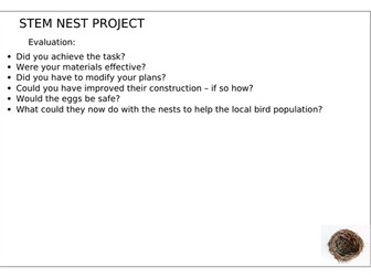 Birds Nest STEM project KS2
