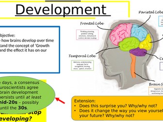 Brain Development and Growth Mindset X2 Lessons