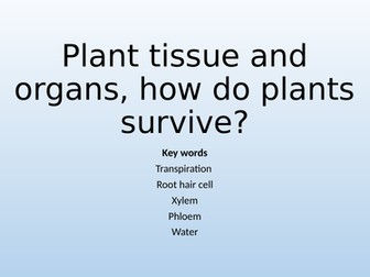 B2 Organisation - Plant tissues xylem and phloem transpiration 9-1 AQA