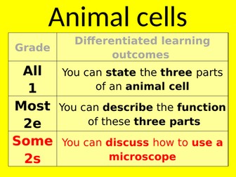 Animal and plant cells - colour coding the different parts