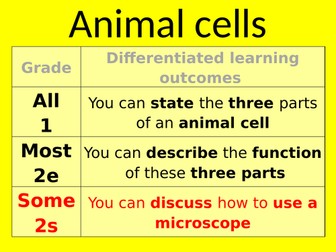 Animal and plant cells - colour coding the different parts