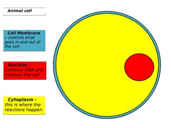 Animal and plant cells - coding coding to identify the different parts