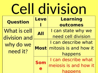 DNA structure, inheritance and cell division (mitosis and meiosis) 3 lesson bundle