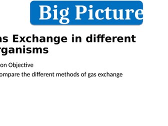 Gas Exchange in different Organisms
