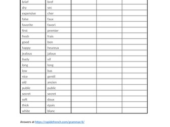 Irregular Adjective Endings (French)