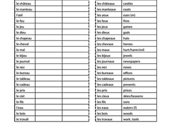 French Irregular Plural Nouns