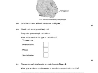 GCSE Biology - Cell Biology Exam Question and Answer packs HT/FT