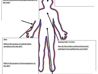 Human defence responses - primary immune system