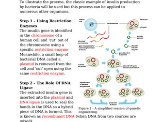 Genetic Engineering (Fill-In-Blanks)