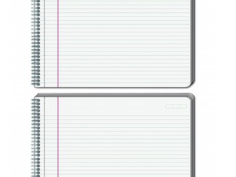 Homophones OFSTED lesson with resources