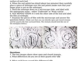 Stomata, Gas Exchange & Mineral Ions (GCSE)