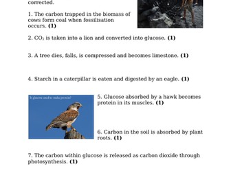 The Carbon Cycle (Cut-And-Stick & Extension Activity) (GCSE)