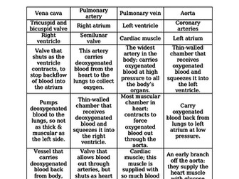The Heart - Structure & Function w/ Dissection (GCSE & 6th Form)