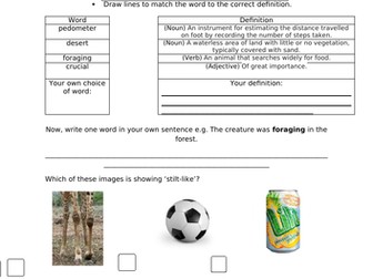 Unit of Guided Reading based around The Midnight Fox by Betsy Byars