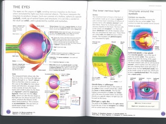 The Structure & Function Of The Eye (GCSE)