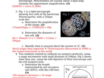 Microscopy (A Level & IB)