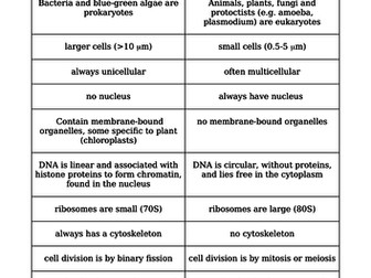 Eukaryotic & Prokaryotic Cells Comparison & Assessment (A Level & IB)