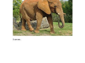 1st set Descriptive writing literacy SEN, Early Years, Primary