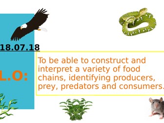 Grouping Living Things- Year 4