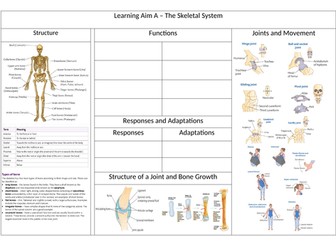 BTEC Sport L3 Unit 1 - Skeletal System