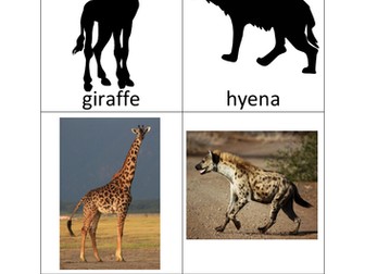 African Animals Silhouette cards