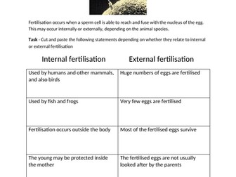 Internal and external fertilisation