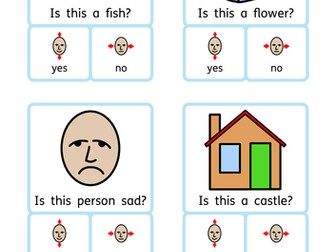 Yes / No questions peg cards. Reading comprehension / reasoning / concepts. Autism / SEN / KS1
