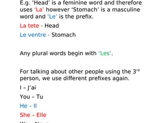 French Masculine and Feminine Information Sheet