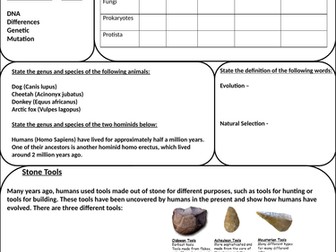 Evolution/Genetics Revision Activity Sheet