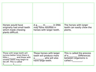 Evolution Storyboard and Word Fill