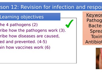 Revision for the topic infection and response