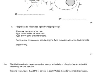 B2 Keeping Healthy Exam Style Questions