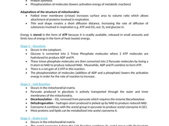 AQA A level Biology - Respiration