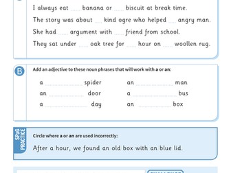 Using 'a' and 'an' with nouns worksheet - Year 3 Spag