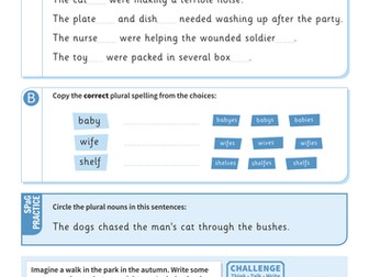 Making nouns plural worksheet - Year 3 Spag