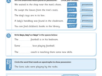 Plural and possessive nouns worksheet - Year 4 Spag
