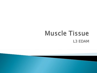Muscles and the sliding filament theory