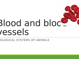 Blood and Blood Vessels