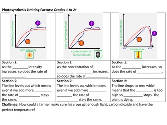 Bioenergetics Lesson 04 - Limiting Factors of Photosynthesis