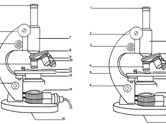 AQA Biology Required practical lesson,  includes all resources Microscopy