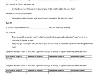 Adjectives in Spanish - explanation and exercises