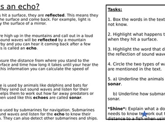 Active reading exercise: What is an echo?