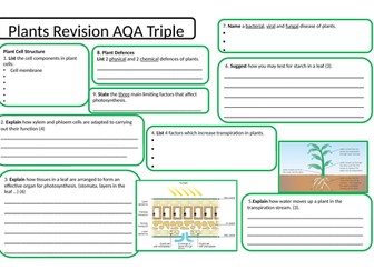 Plants Revision Mind Map