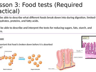 tests enzymes activate digestion aqa unit ks4 practical lesson
