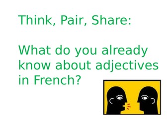 French adjective agreement investigation lesson